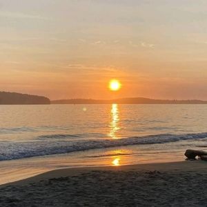 Meet your Posher, Angelina